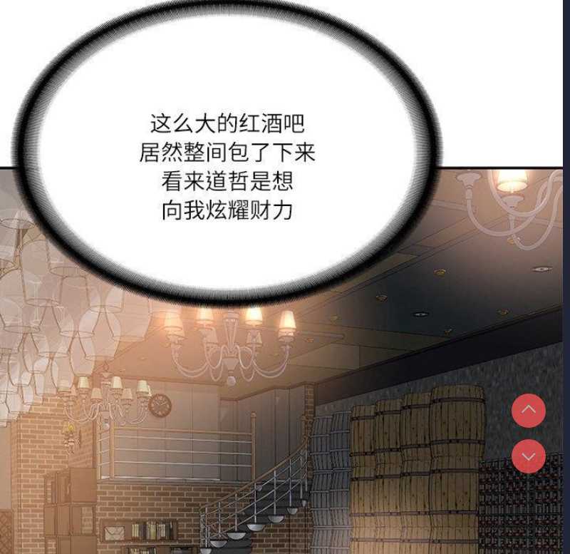 财阀家的女婿
