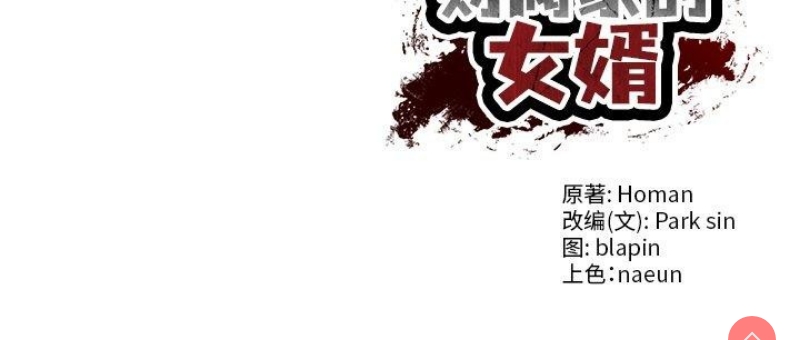 财阀家的女婿