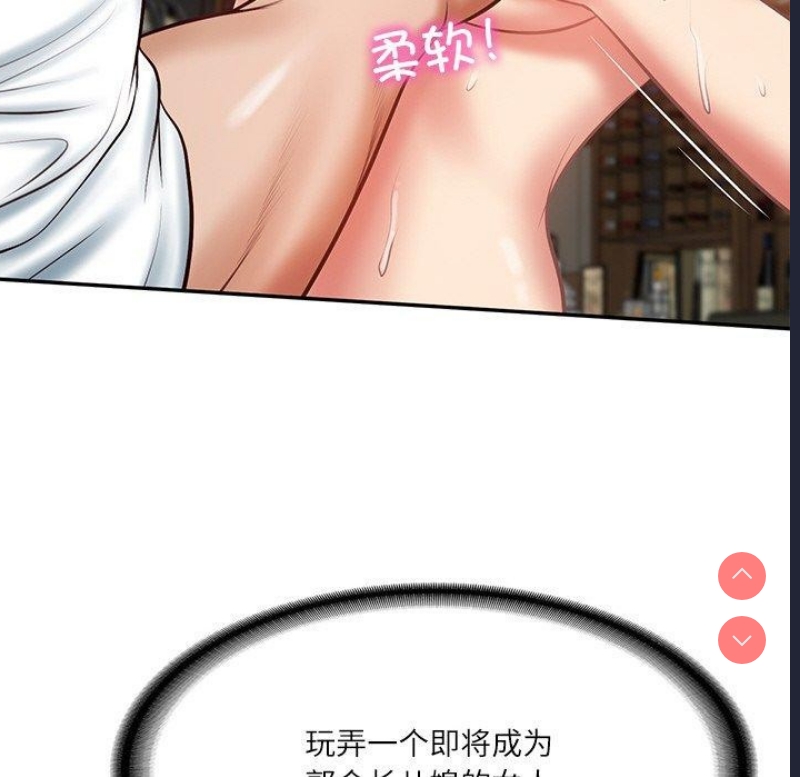 财阀家的女婿