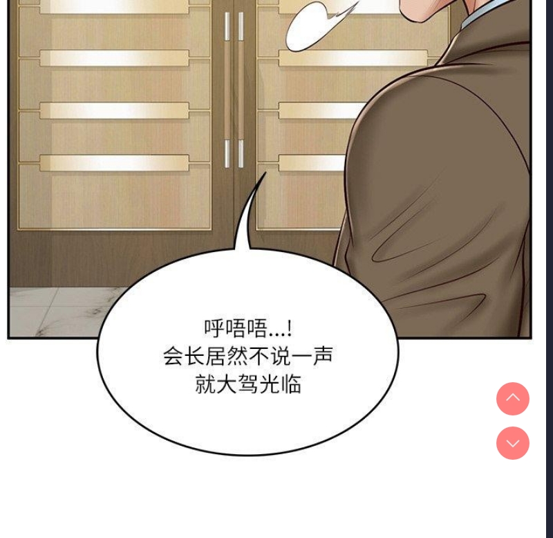 财阀家的女婿
