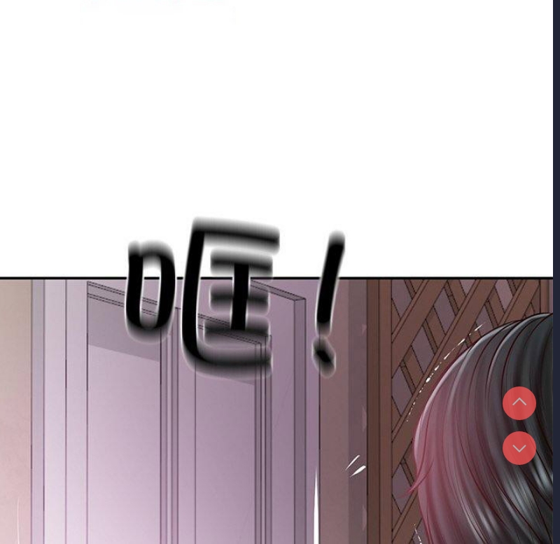 财阀家的女婿