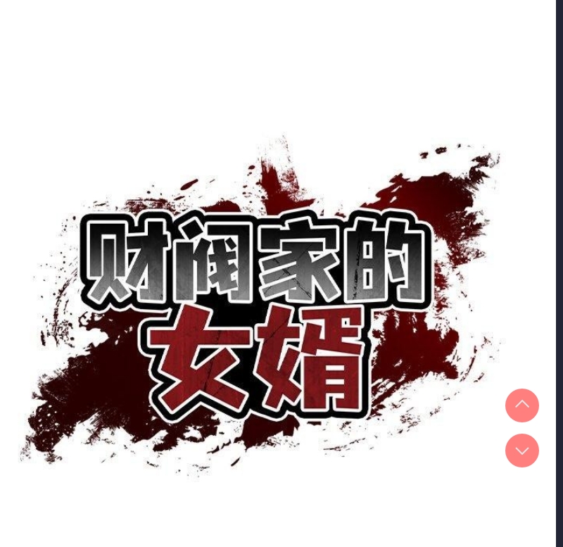 财阀家的女婿