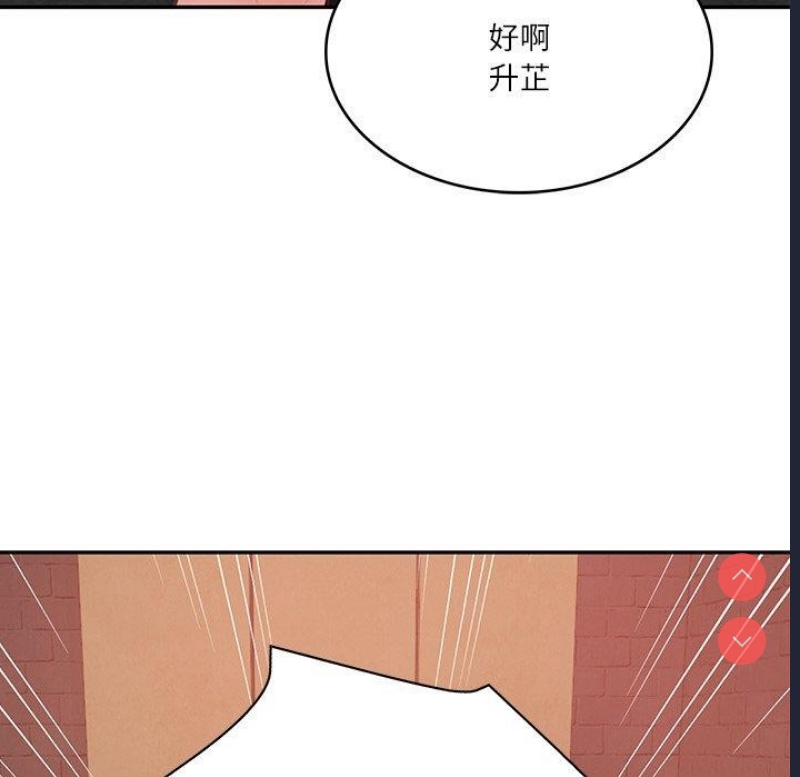 财阀家的女婿