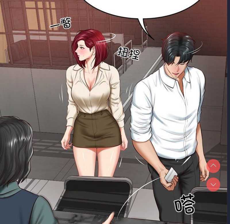 财阀家的女婿