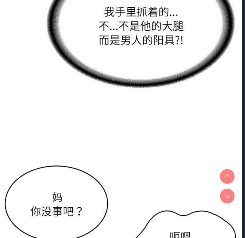 财阀家的女婿