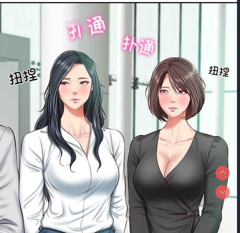 财阀家的女婿
