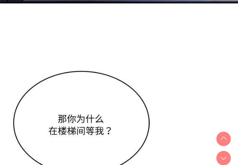 财阀家的女婿