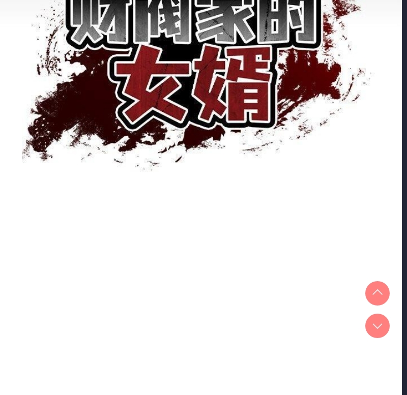 财阀家的女婿