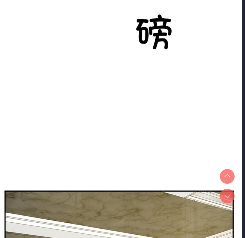 财阀家的女婿