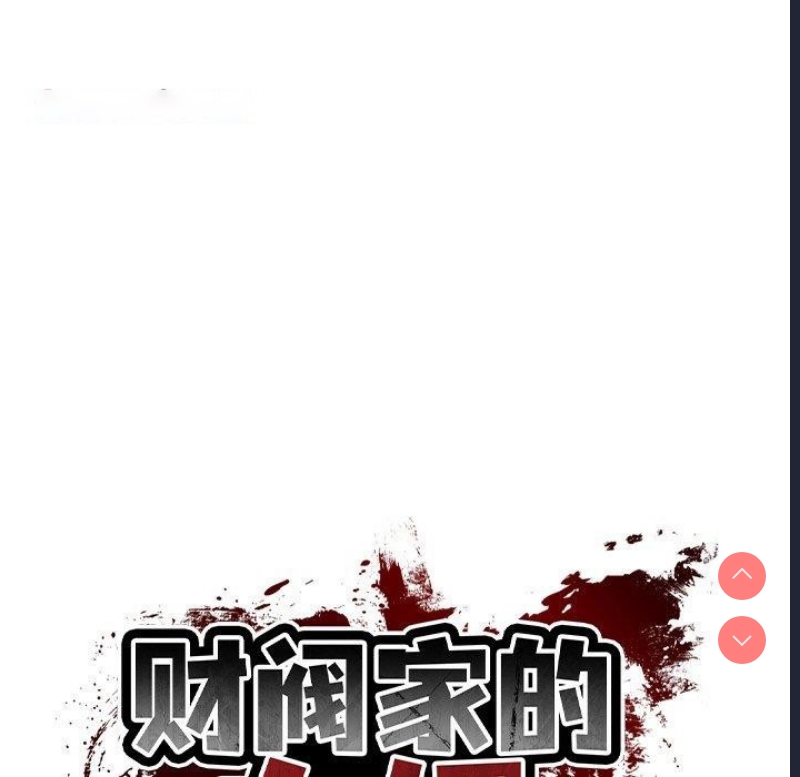 财阀家的女婿
