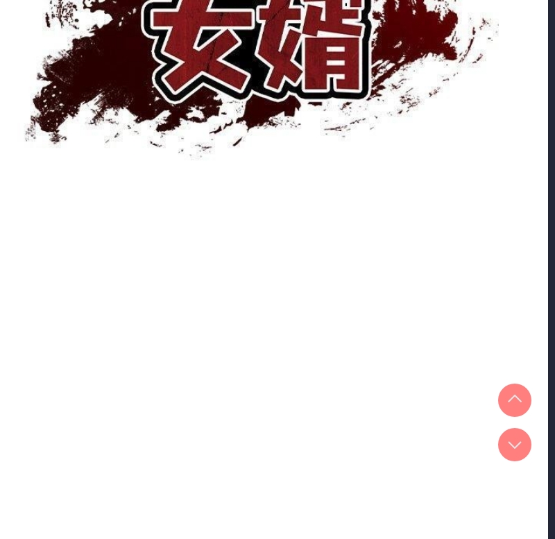 财阀家的女婿