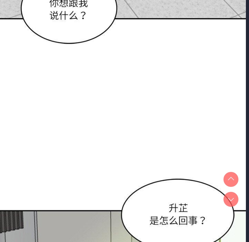 财阀家的女婿