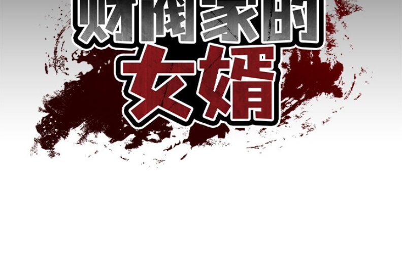财阀家的女婿