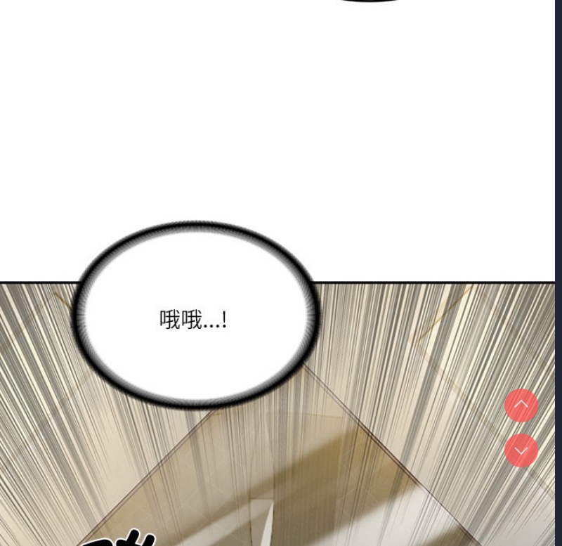 财阀家的女婿