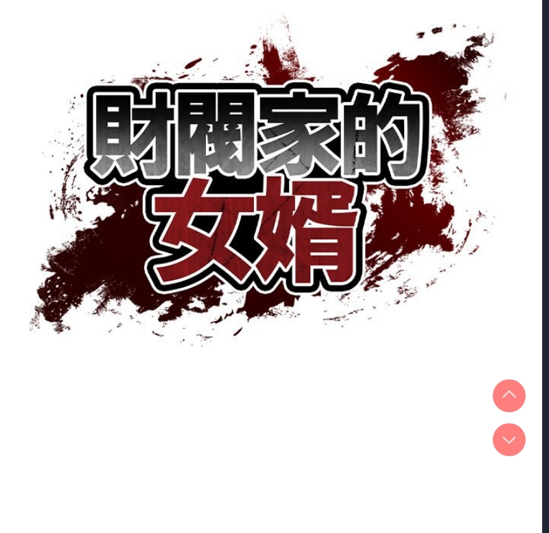 财阀家的女婿
