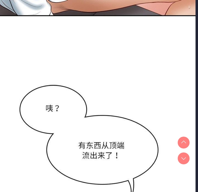 财阀家的女婿