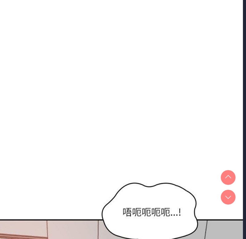 财阀家的女婿