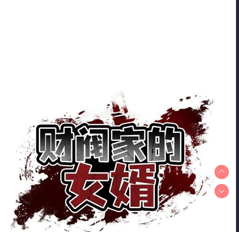 财阀家的女婿
