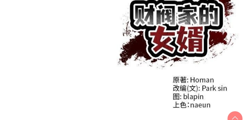 财阀家的女婿