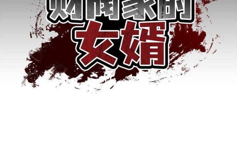 财阀家的女婿