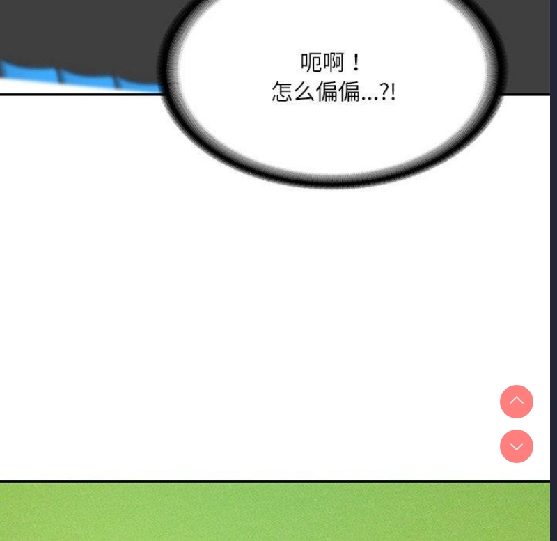 财阀家的女婿