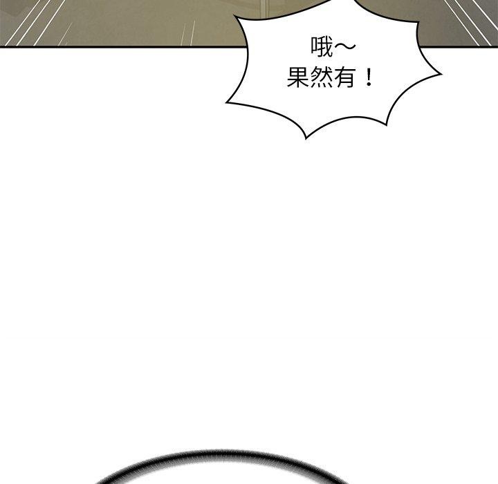 财阀家的女婿