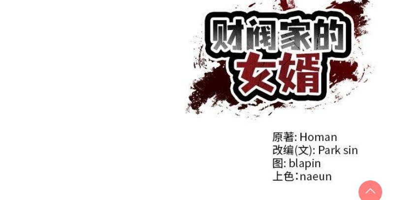 财阀家的女婿