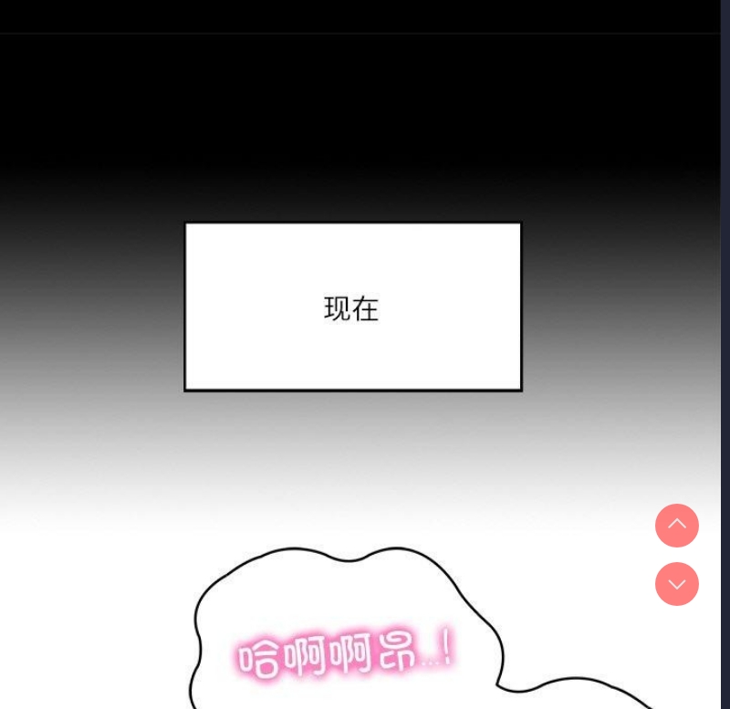 财阀家的女婿