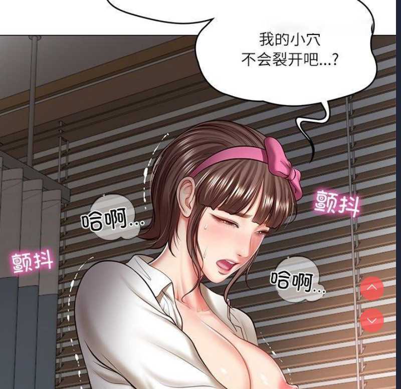 财阀家的女婿