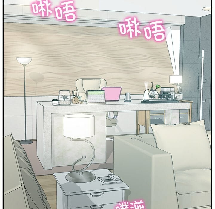 财阀家的女婿