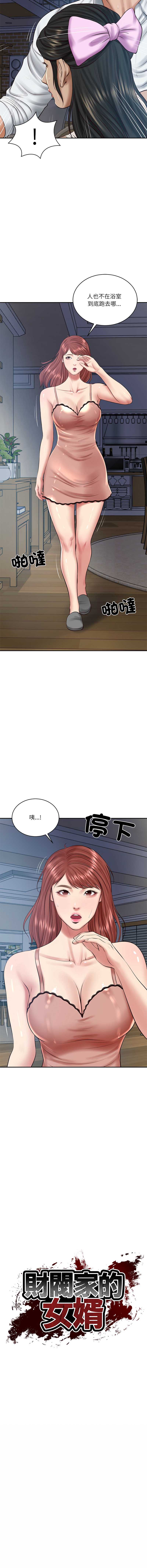 财阀家的女婿