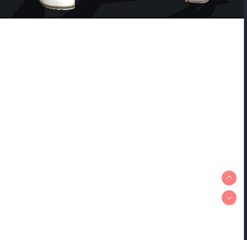 财阀家的女婿