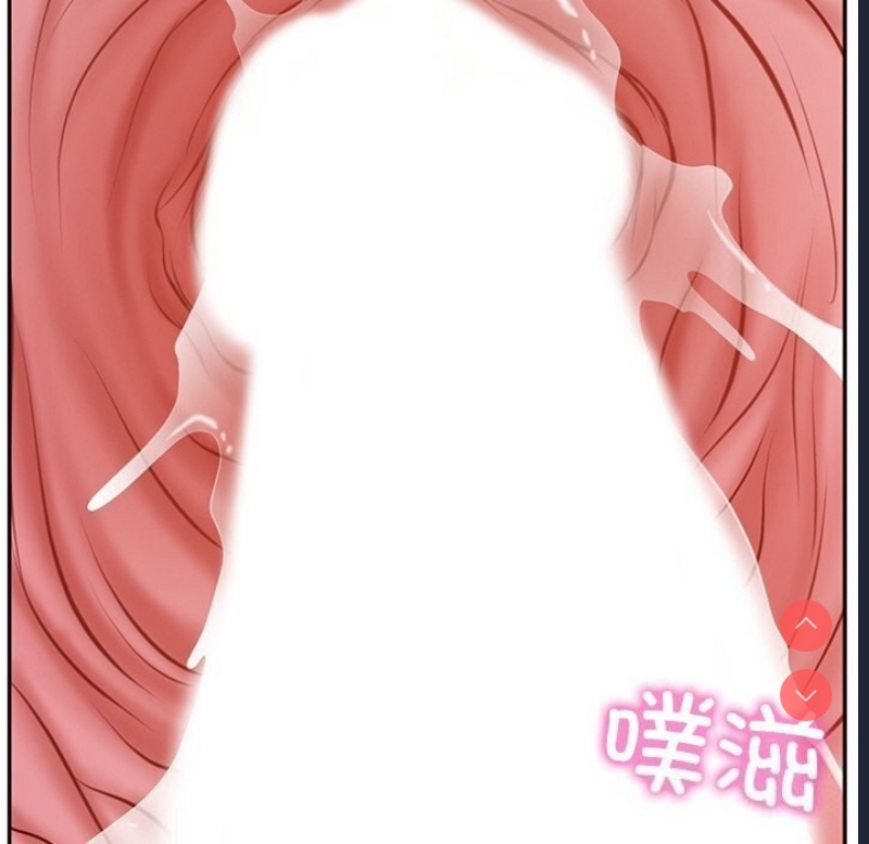 财阀家的女婿