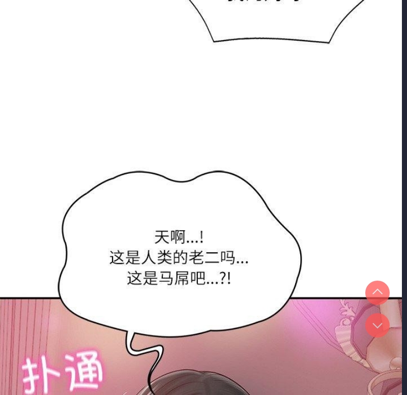 财阀家的女婿