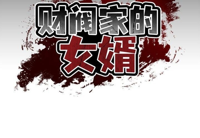 财阀家的女婿