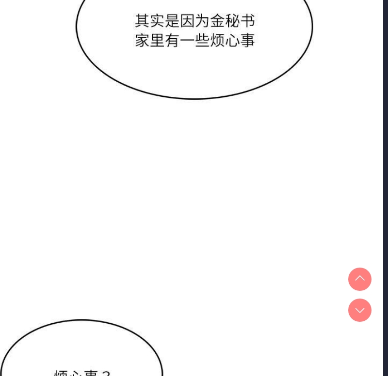 财阀家的女婿
