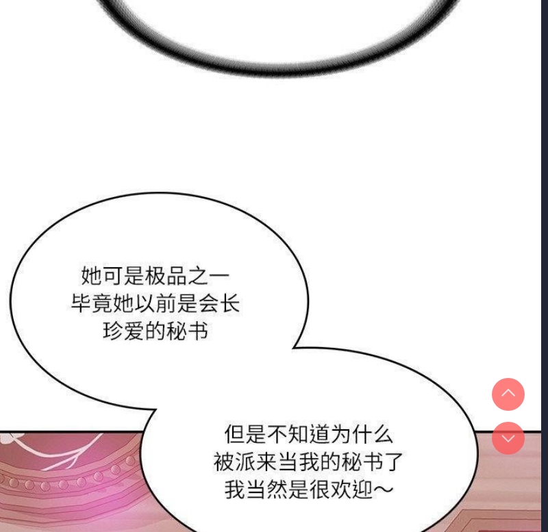 财阀家的女婿