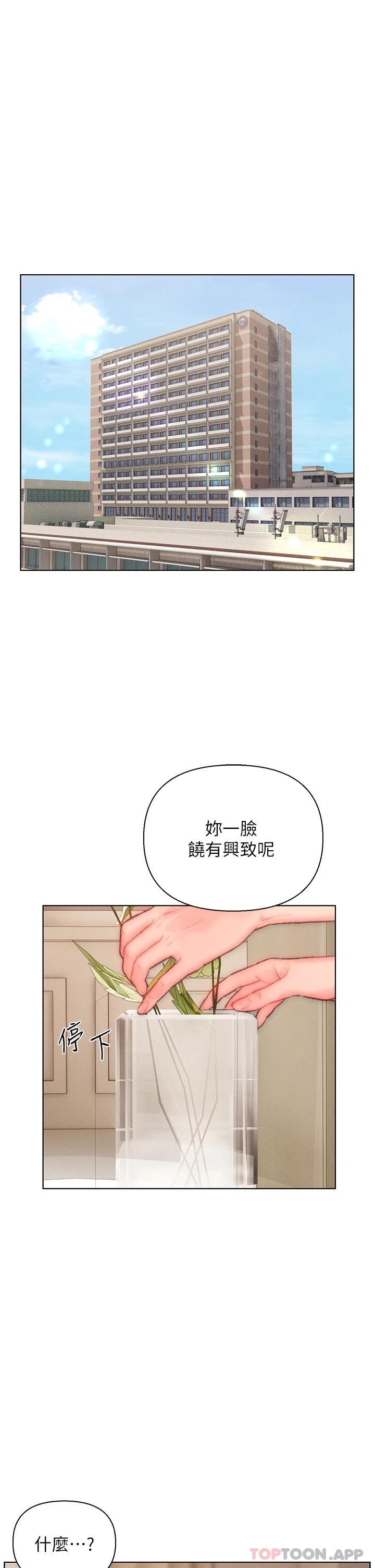 入赘女婿