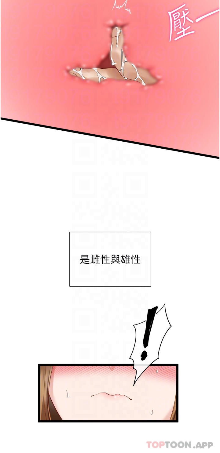 脱单神器