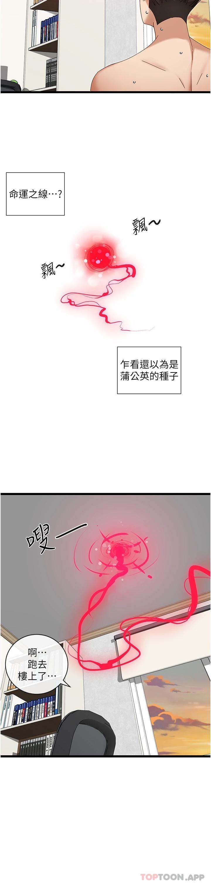 脱单神器