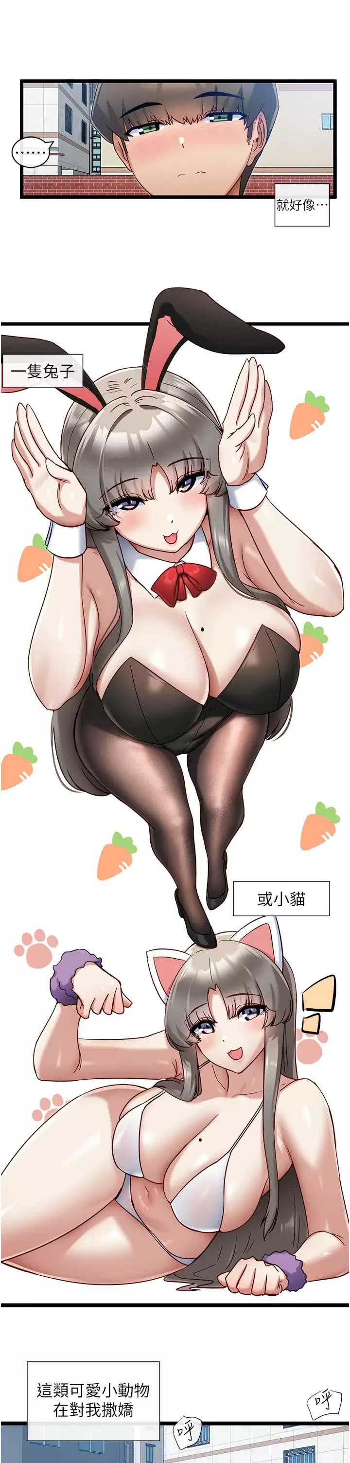 脱单神器