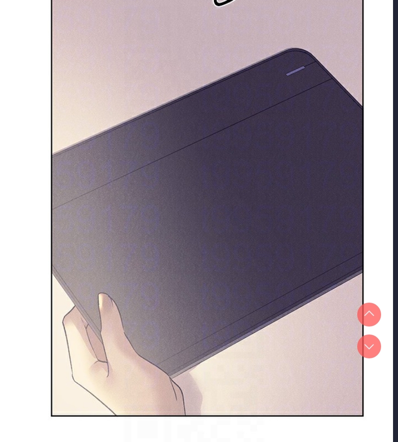 野蛮插画家