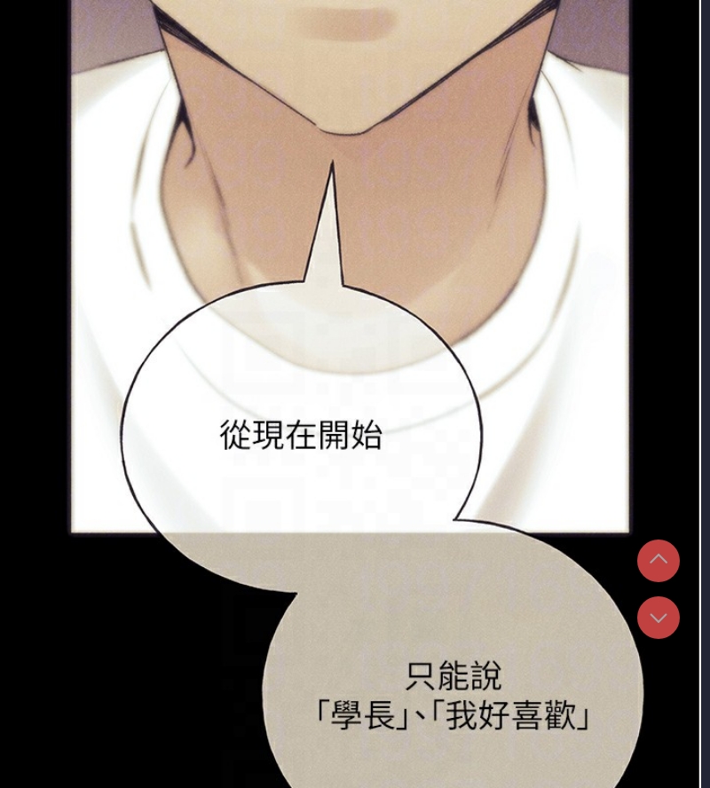 野蛮插画家