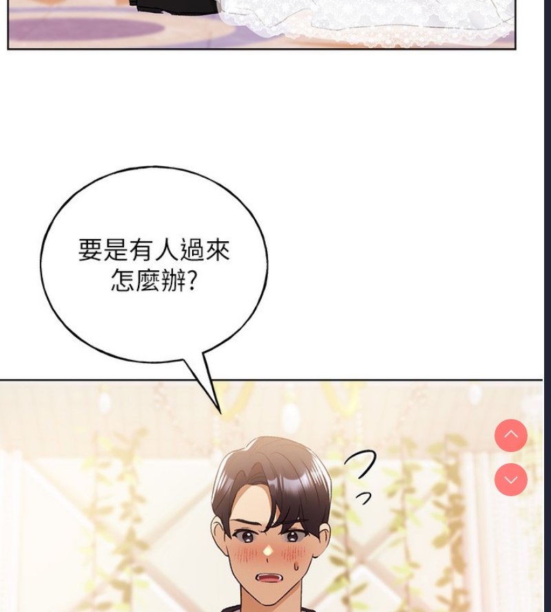 野蛮插画家