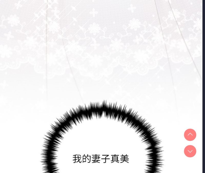 野蛮插画家
