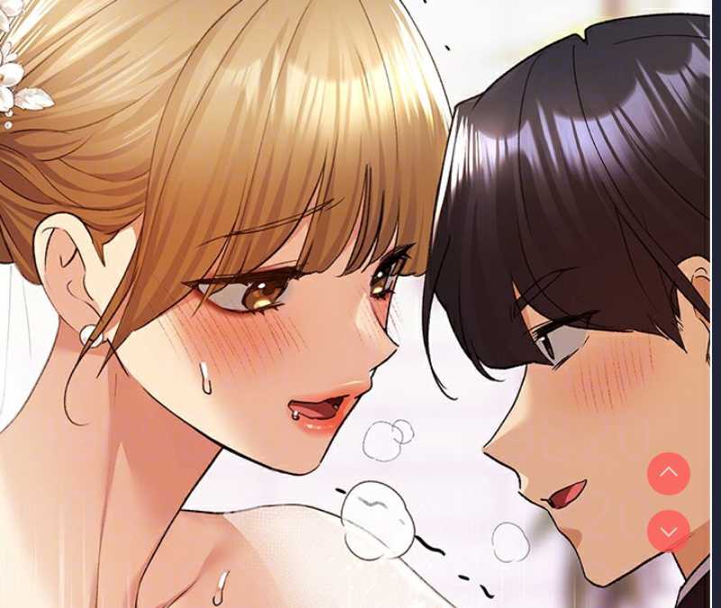 野蛮插画家