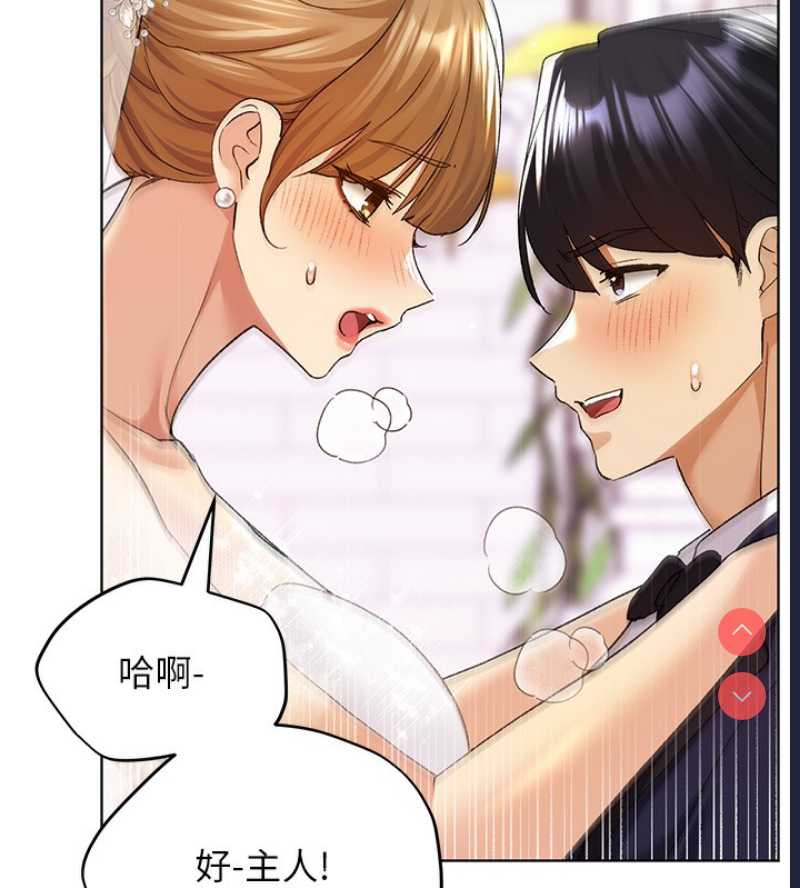 野蛮插画家