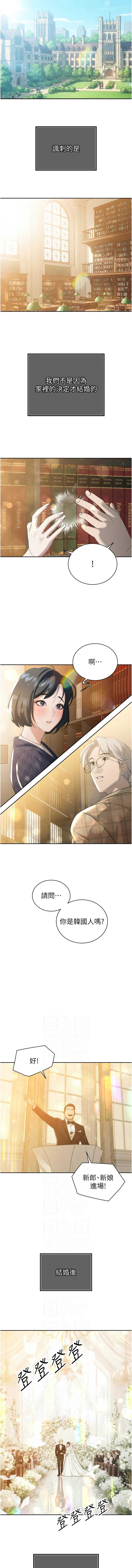 暴君会长的娇媳们