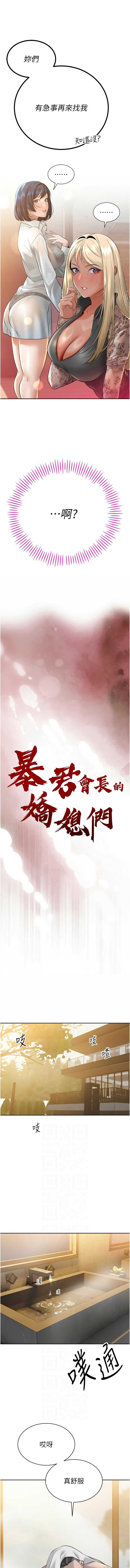 暴君会长的娇媳们