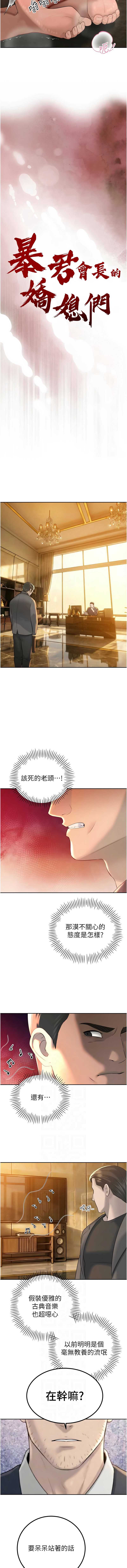 暴君会长的娇媳们